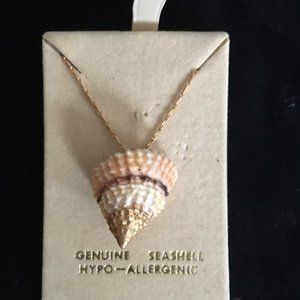 Shell necklace gold plated.